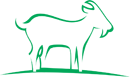 Goat of the Virtual Capril